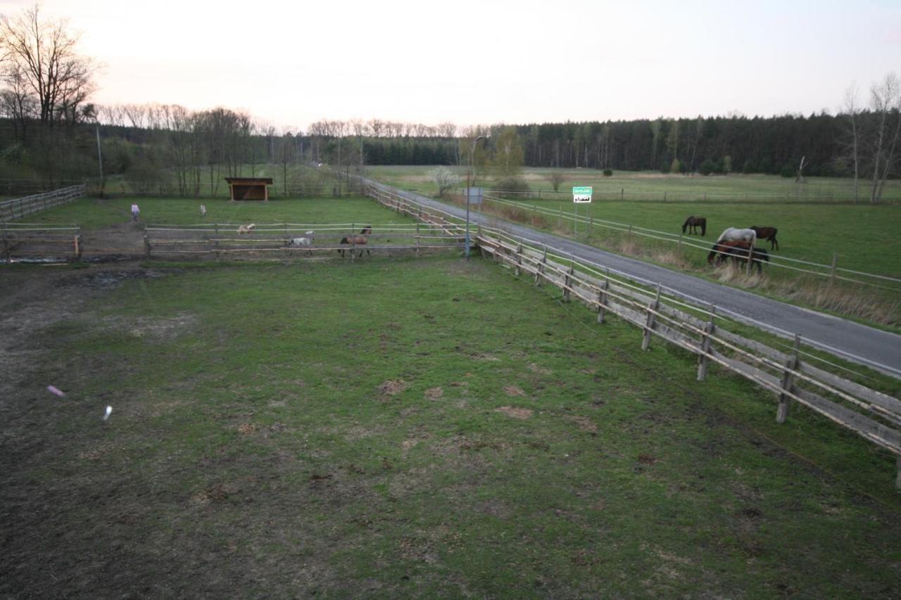 Appartement Lesniczowka Grabczok Extérieur photo